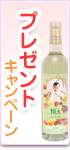プレゼントキャンペーン